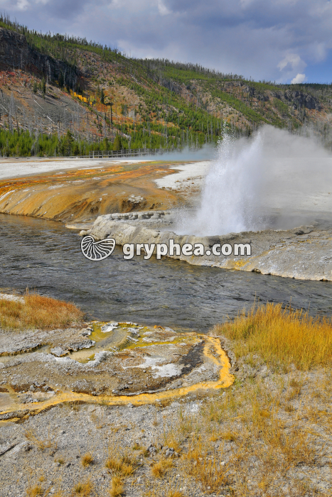 Cliff Geyser en activité (Yellowstone NP, USA) - gryphea.org